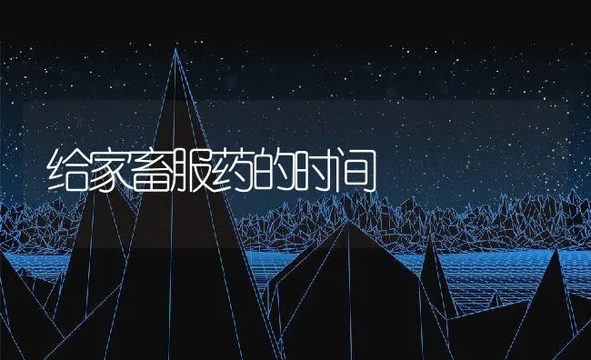 给家畜服药的时间 | 动物养殖学堂