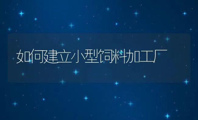 如何建立小型饲料加工厂 | 动物养殖饲料