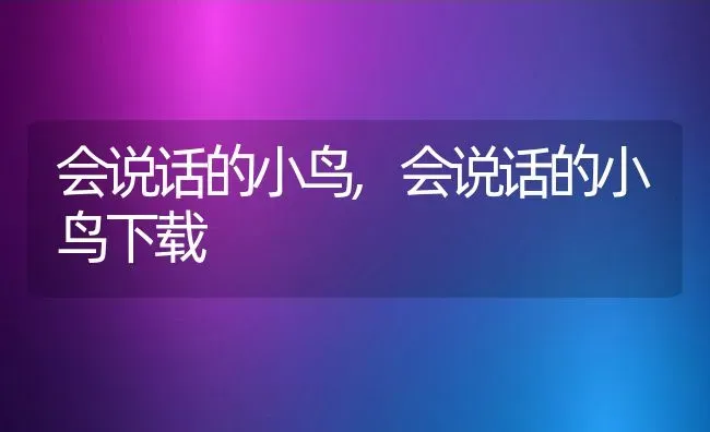 会说话的小鸟,会说话的小鸟下载 | 宠物百科知识