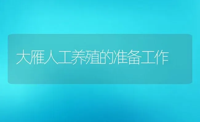 大雁人工养殖的准备工作 | 动物养殖教程