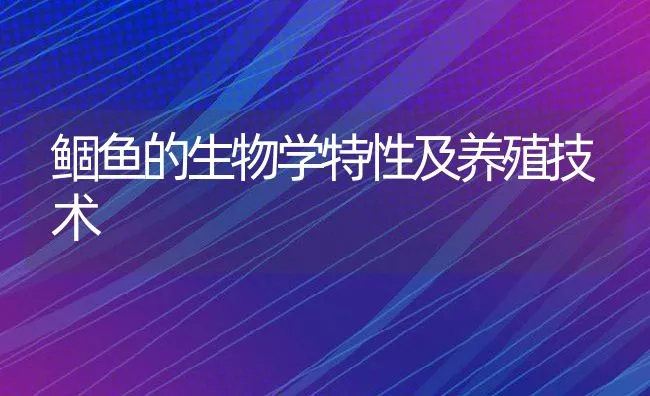 鲴鱼的生物学特性及养殖技术 | 动物养殖饲料