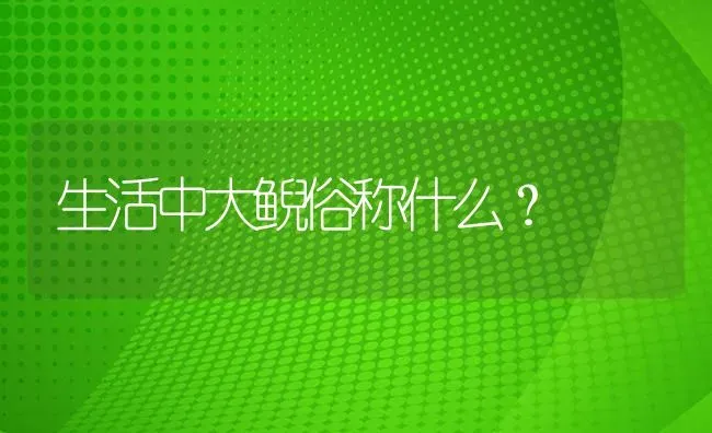 生活中大鲵俗称什么？ | 鱼类宠物饲养