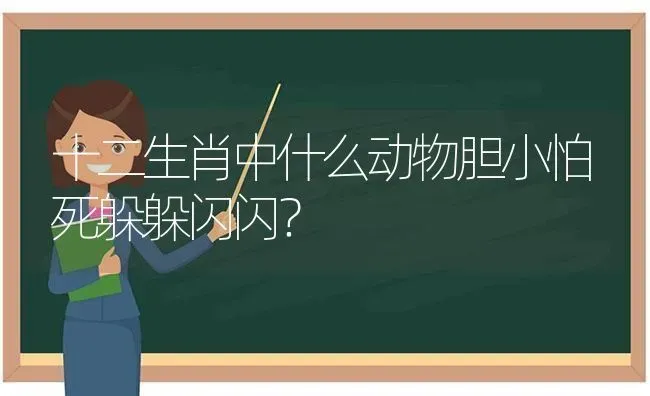 十二生肖中什么动物胆小怕死躲躲闪闪？ | 动物养殖问答