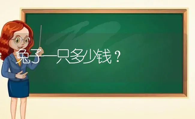 兔子一只多少钱？ | 动物养殖问答