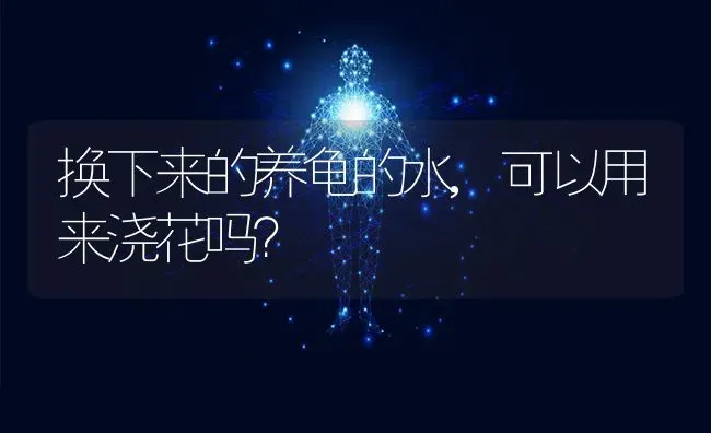 换下来的养龟的水,可以用来浇花吗？ | 动物养殖问答