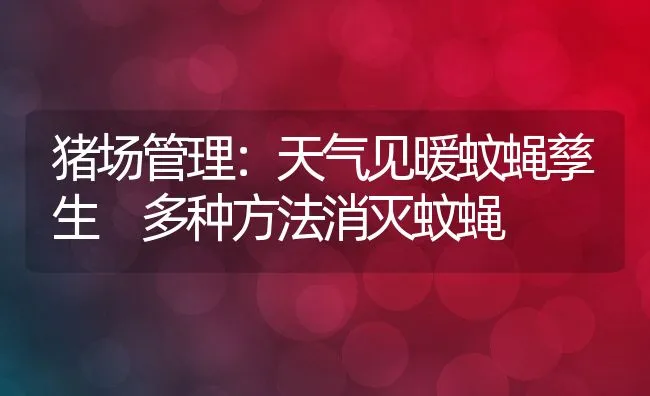 猪场管理：天气见暖蚊蝇孳生 多种方法消灭蚊蝇 | 动物养殖学堂