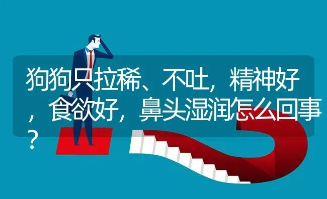 狗狗只拉稀、不吐，精神好，食欲好，鼻头湿润怎么回事？ | 动物养殖问答