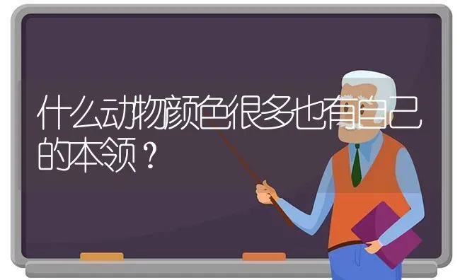 什么动物颜色很多也有自己的本领？ | 动物养殖问答