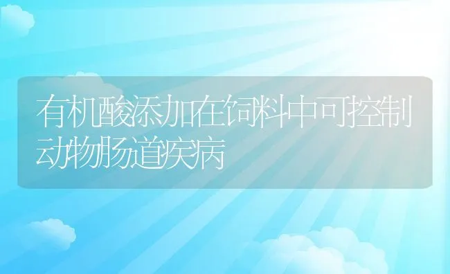 有机酸添加在饲料中可控制动物肠道疾病 | 动物养殖饲料