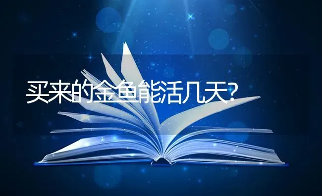 买来的金鱼能活几天？ | 鱼类宠物饲养