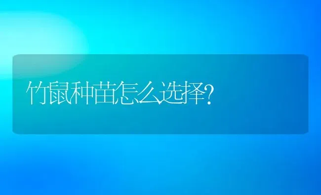 竹鼠种苗怎么选择? | 动物养殖百科