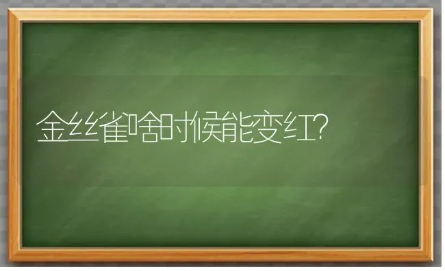 金丝雀啥时候能变红？ | 动物养殖问答