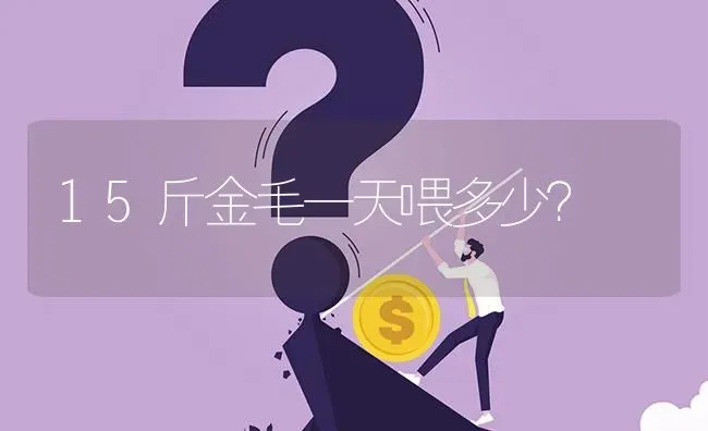 15斤金毛一天喂多少？ | 动物养殖问答