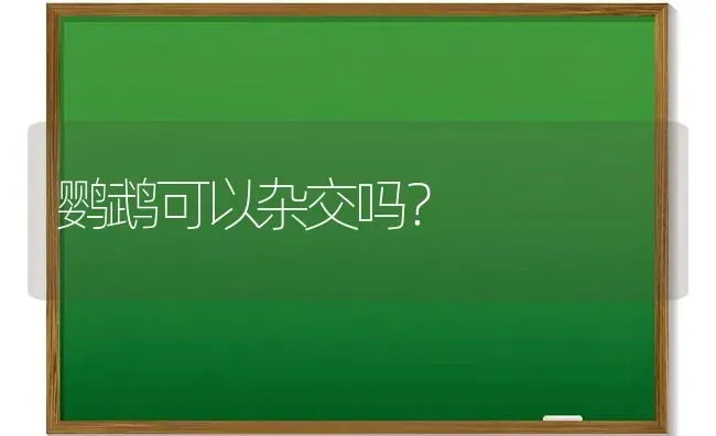 鹦鹉可以杂交吗？ | 动物养殖问答