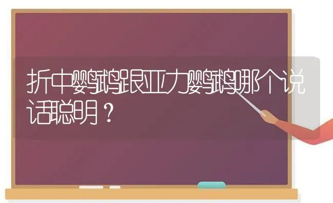 折中鹦鹉跟亚力鹦鹉哪个说话聪明？ | 动物养殖问答