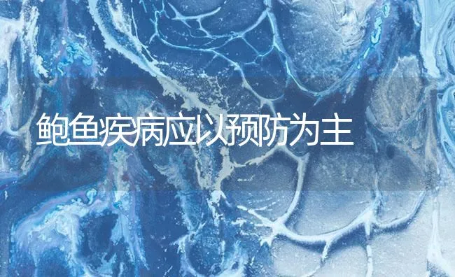 鲍鱼疾病应以预防为主 | 海水养殖技术