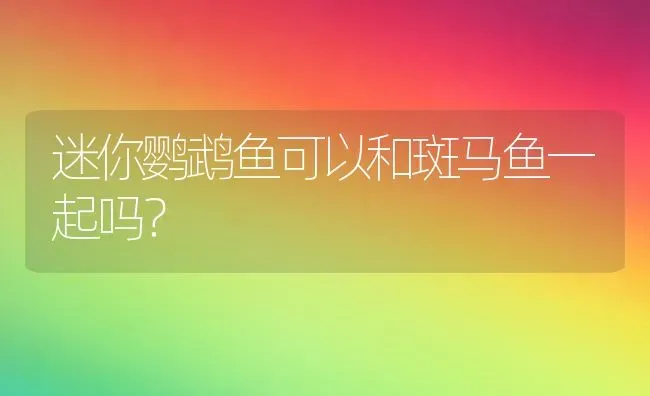 迷你鹦鹉鱼可以和斑马鱼一起吗？ | 动物养殖问答