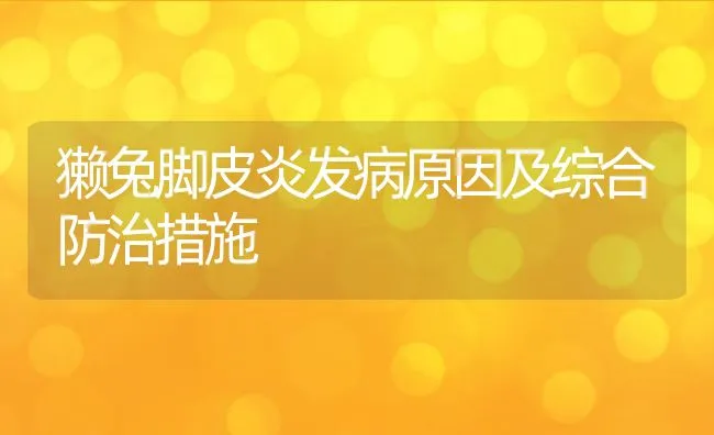 獭兔脚皮炎发病原因及综合防治措施 | 动物养殖学堂