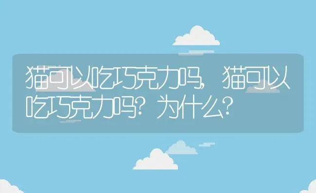 猫可以吃巧克力吗,猫可以吃巧克力吗?为什么? | 宠物百科知识