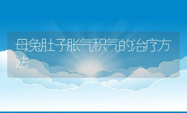 母兔肚子胀气积气的治疗方法 | 水产养殖知识