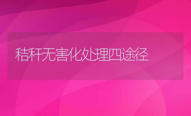 仔兔黄尿病的防治 | 动物养殖学堂