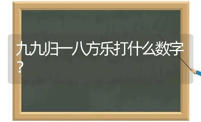 九九归一八方乐打什么数字？ | 动物养殖问答