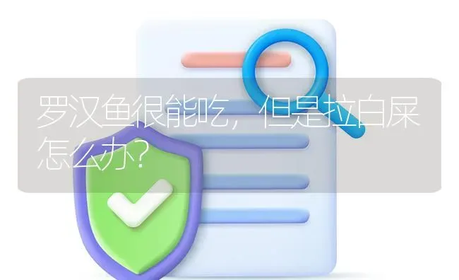 罗汉鱼很能吃，但是拉白屎怎么办？ | 鱼类宠物饲养