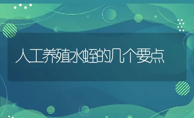 人工养殖水蛭的几个要点 | 动物养殖饲料