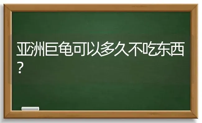 亚洲巨龟可以多久不吃东西？ | 动物养殖问答