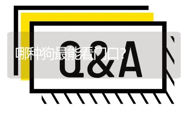 哪种狗最能看门口？ | 动物养殖问答