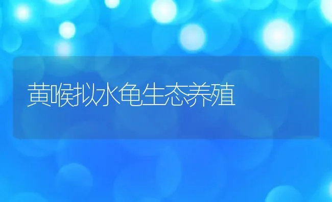 黄喉拟水龟生态养殖 | 动物养殖饲料