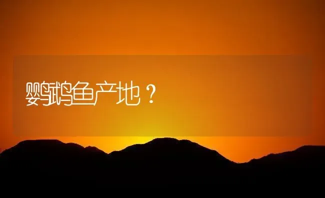 鹦鹉鱼产地？ | 鱼类宠物饲养