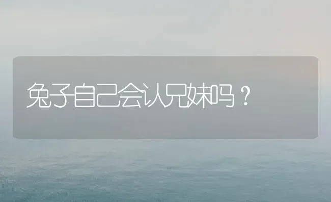 兔子自己会认兄妹吗？ | 动物养殖问答