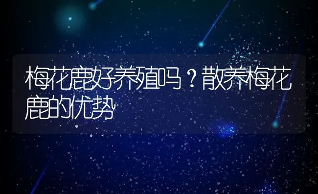 梅花鹿好养殖吗？散养梅花鹿的优势 | 动物养殖百科