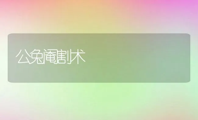 公兔阉割术 | 动物养殖学堂