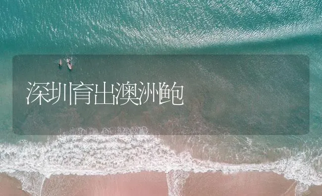 夏季水产养殖管理的重点和难点 | 海水养殖技术