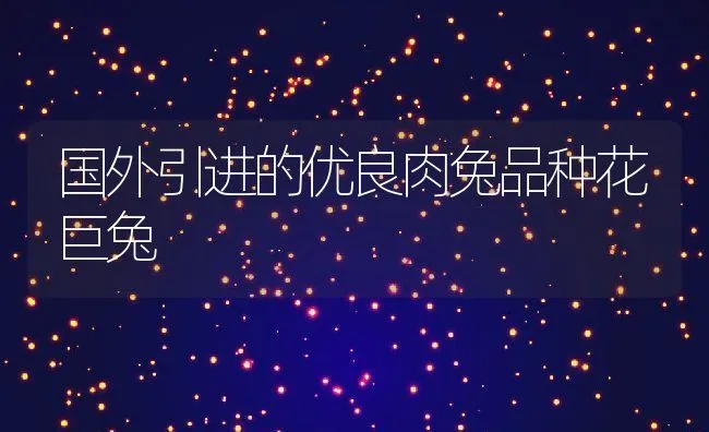 死鱼和池塘无害化处理技术措施 | 海水养殖技术