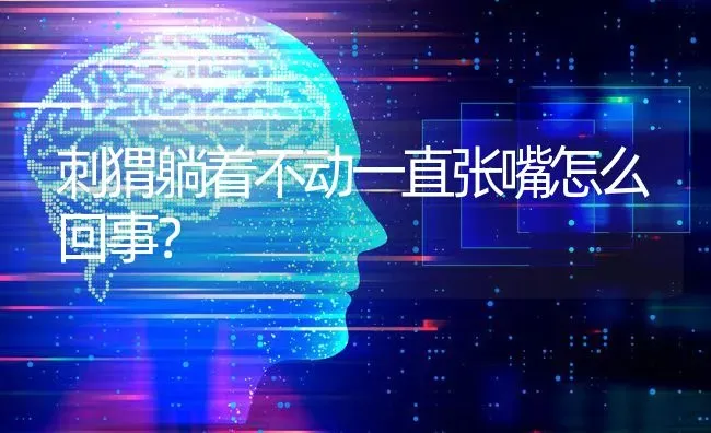 刺猬躺着不动一直张嘴怎么回事？ | 动物养殖问答