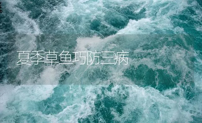 夏季草鱼巧防三病 | 海水养殖技术