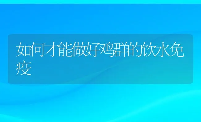 如何才能做好鸡群的饮水免疫 | 动物养殖饲料