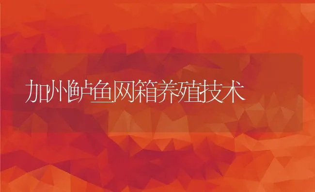 加州鲈鱼网箱养殖技术 | 动物养殖饲料