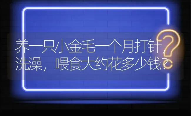 养一只小金毛一个月打针，洗澡，喂食大约花多少钱？ | 动物养殖问答