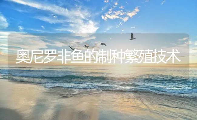 奥尼罗非鱼的制种繁殖技术 | 海水养殖技术