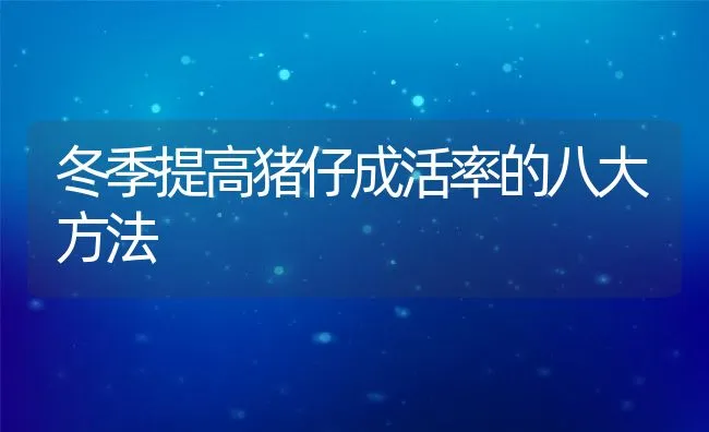 冬季提高猪仔成活率的八大方法 | 动物养殖饲料