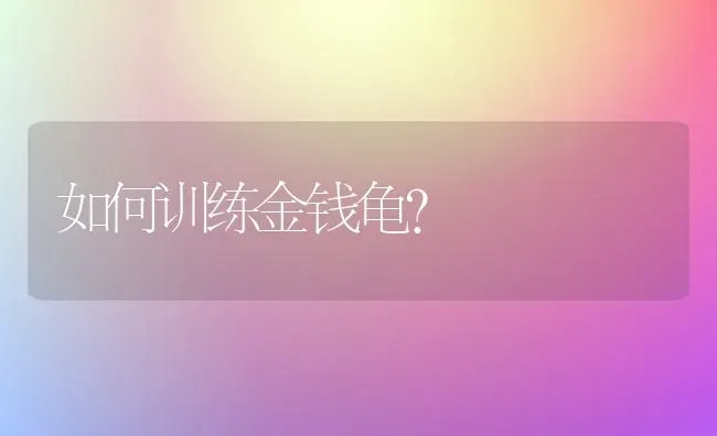 如何训练金钱龟？ | 动物养殖问答