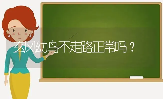 玄凤幼鸟不走路正常吗？ | 动物养殖问答