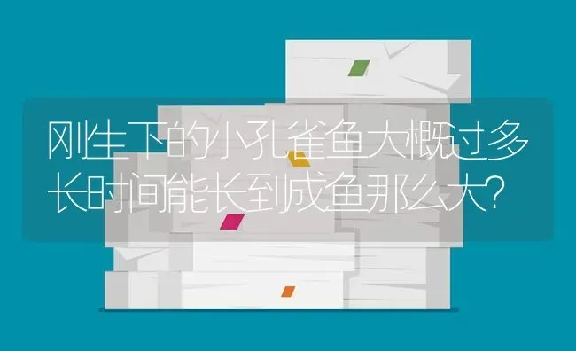 刚生下的小孔雀鱼大概过多长时间能长到成鱼那么大？ | 鱼类宠物饲养