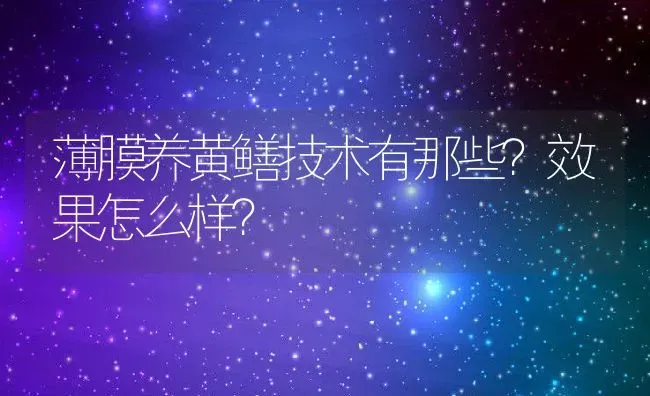 薄膜养黄鳝技术有那些？效果怎么样？ | 动物养殖百科