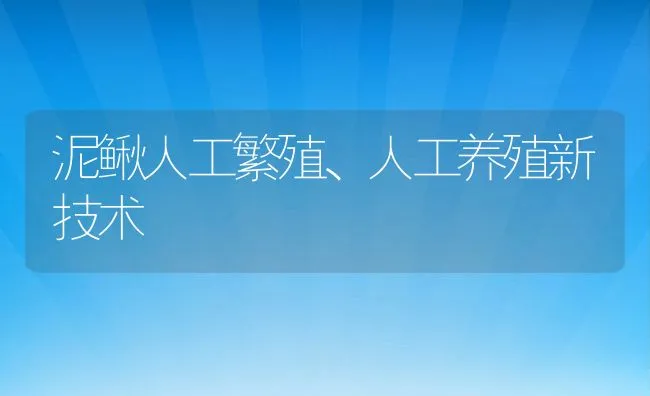 泥鳅人工繁殖、人工养殖新技术 | 水产养殖知识