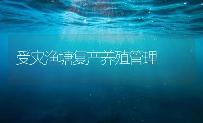 受灾渔塘复产养殖管理 | 海水养殖技术